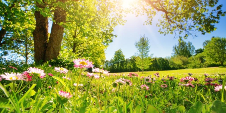 Vreme schimbătoare la începutul lunii mai, în Banat