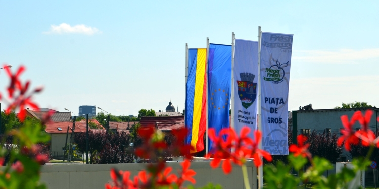 Consum mai mic de curent la Piața de Gros din Timișoara. Au fost montate becuri led