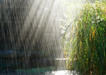 Temperaturi normale pentru sfârșitul de primăvară, dar cu ploi în Banat, în următoarele două săptămâni