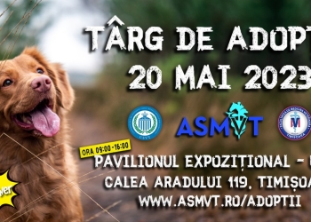 Peste 50 de câini fără stăpân, la un târg de adopții organizat la Universitatea de Agronomie din Timișoara