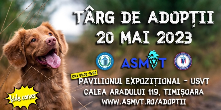 Peste 50 de câini fără stăpân, la un târg de adopții organizat la Universitatea de Agronomie din Timișoara