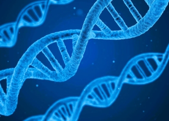 Testări genetice pentru adulți, la Spitalul de Boli Infecțioase din Timișoara