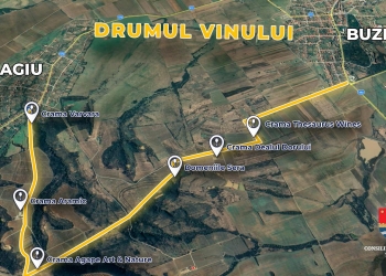 Drumul Vinului, noua rută turistică ce urmează să fie realizată în Timiș
