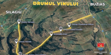 Drumul Vinului, noua rută turistică ce urmează să fie realizată în Timiș