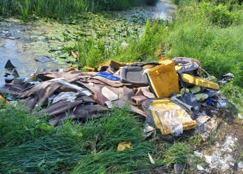 1.200 de tone de deșeuri aruncate ilegal pe stradă, la Timișoara