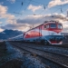 CFR Călători introduce Trenurile Soarelui către litoralul Mării Negre și Delta Dunării