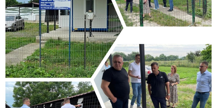 SALVETIM, tot mai aproape de realitate! Se caută soluții pentru problema câinilor fără stăpân