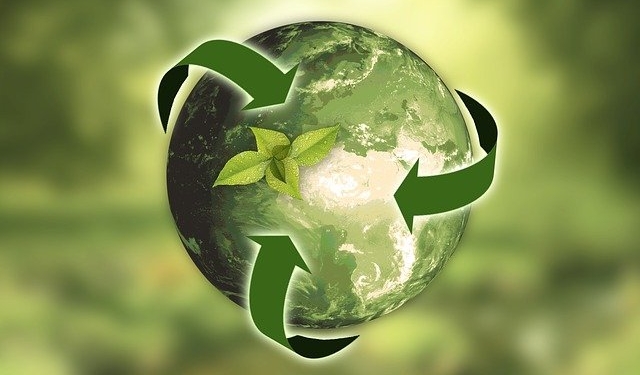 Peste un milion de euro, plătiți de Primăria Timișoara drept obligații de mediu