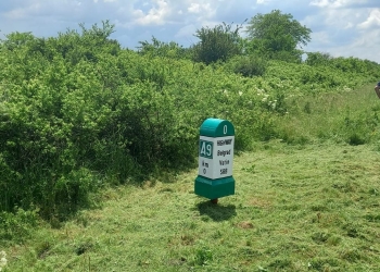 S-a stabilit viitorul punct de trecere a frontierei de pe autostrada care va lega Timișoara de Belgrad