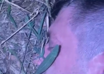 VIDEO Ar fi fost drogat când a comis crima! Bărbatul care a omorât doi bătrâni, la Timișoara, prins de polițiști