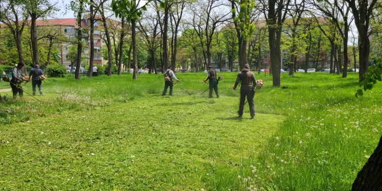 Precizie nemțească, la Timișoara! Se taie iarba după un ceas