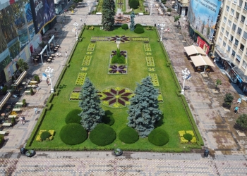 Zona centrală a Timișoarei, înfrumusețată cu peste 260.000 de flori FOTO