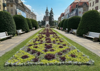 Zona centrală a Timișoarei, înfrumusețată cu peste 260.000 de flori FOTO