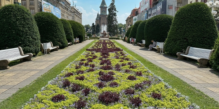 Zona centrală a Timișoarei, înfrumusețată cu peste 260.000 de flori FOTO