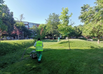 Primăria Timișoara: Prioritate la cosire au parcurile, școlile, grădinițele și bulevardele