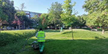 Primăria Timișoara: Prioritate la cosire au parcurile, școlile, grădinițele și bulevardele