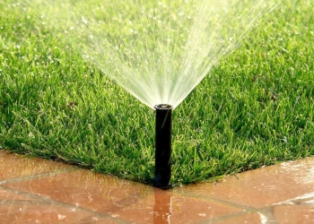 Aquatim, mesaj pe timp de caniculă: Apa potabilă nu este pentru udatul grădinilor