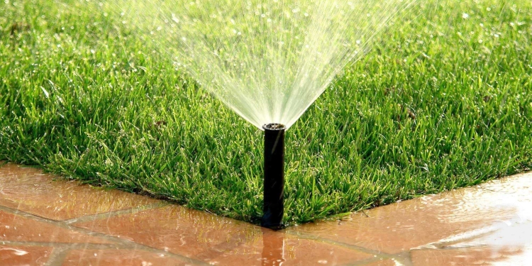 Aquatim, mesaj pe timp de caniculă: Apa potabilă nu este pentru udatul grădinilor