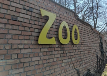 Se cere redeschiderea incintei fostei grădini zoo din Timișoara