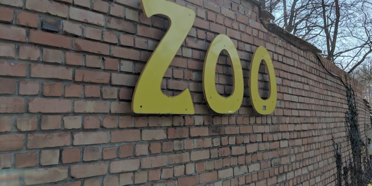 Se cere redeschiderea incintei fostei grădini zoo din Timișoara