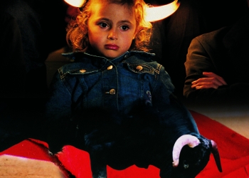 Filme câștigătoare la Cannes, în două cinematografe din Timișoara