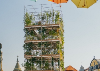 Pepiniera din centrul Timișoarei va fi demontată peste câteva zile