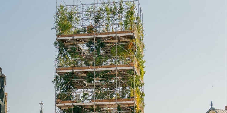 Pepiniera din centrul Timișoarei va fi demontată peste câteva zile