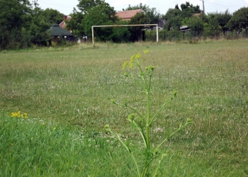 Într-un an și jumătate se face sport pe terenul de pe str. Mircea cel Bătrân. Primăria a semnat contractul