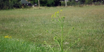 Într-un an și jumătate se face sport pe terenul de pe str. Mircea cel Bătrân. Primăria a semnat contractul