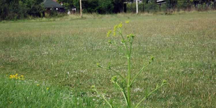 Într-un an și jumătate se face sport pe terenul de pe str. Mircea cel Bătrân. Primăria a semnat contractul