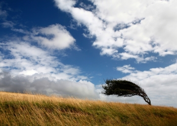 Cod galben de vânt puternic în Banat, timp de două zile