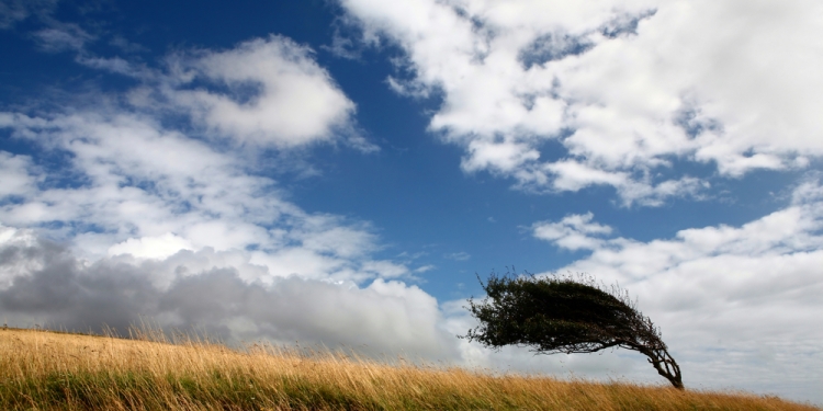 Cod galben de vânt puternic în Banat, timp de două zile