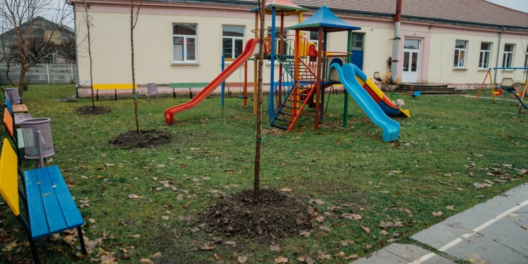 Aer mai curat și mai multă verdeață în școli și grădinițe din Timișoara