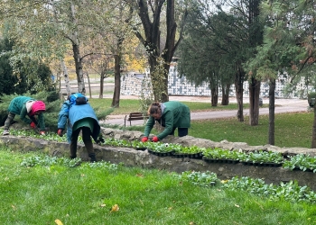 Mii de arbori plantați în Timișoara. Primăria a început campania de toamnă