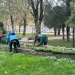 Mii de arbori plantați în Timișoara. Primăria a început campania de toamnă