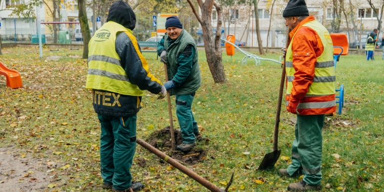 Aer mai curat și mai multă verdeață în școli și grădinițe din Timișoara