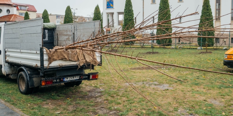 Aer mai curat și mai multă verdeață în școli și grădinițe din Timișoara