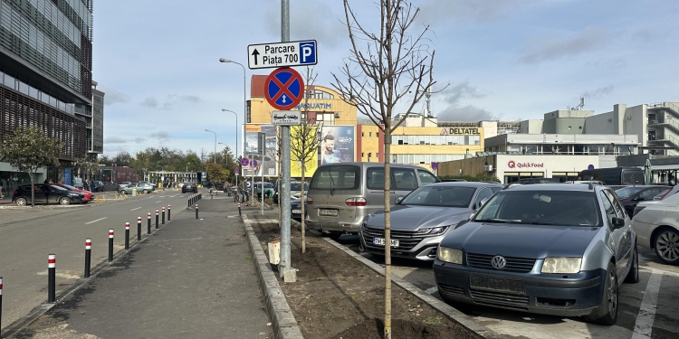Mii de arbori plantați în Timișoara. Primăria a început campania de toamnă