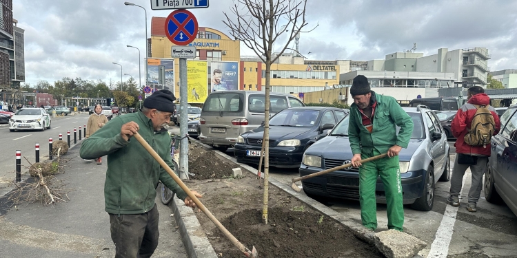 Mii de arbori plantați în Timișoara. Primăria a început campania de toamnă