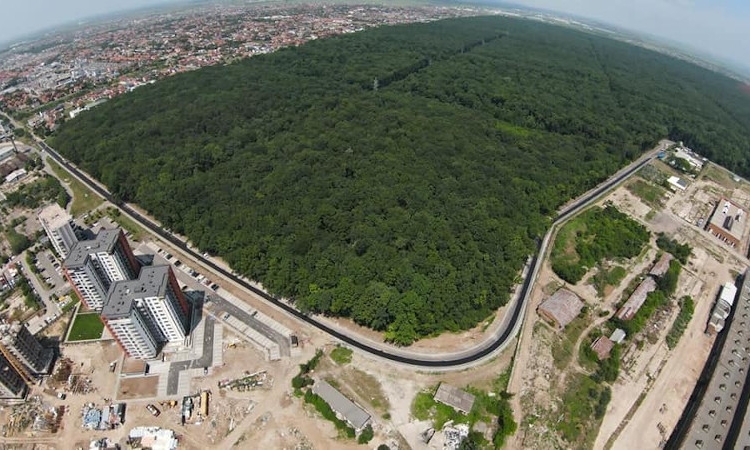 Pădurea Verde va fi amenajată după dorințele timișorenilor! Spune-ți părerea într-un chestionar