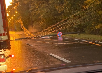 Doi copaci și un stâlp puși la pământ de vânt, în Timișoara