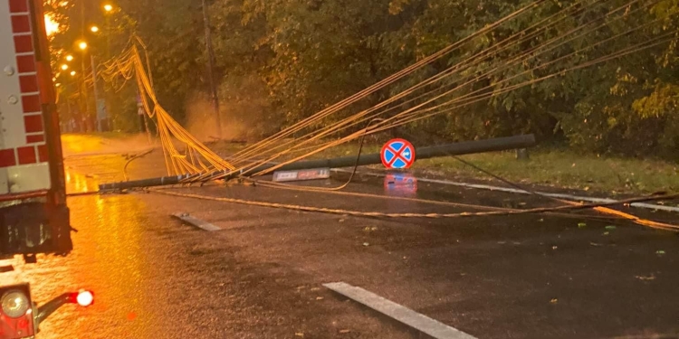 Doi copaci și un stâlp puși la pământ de vânt, în Timișoara
