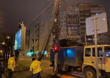 Au reapărut fire pe stâlpii din Timișoara curățați. S-au aplicat amenzi uriașe