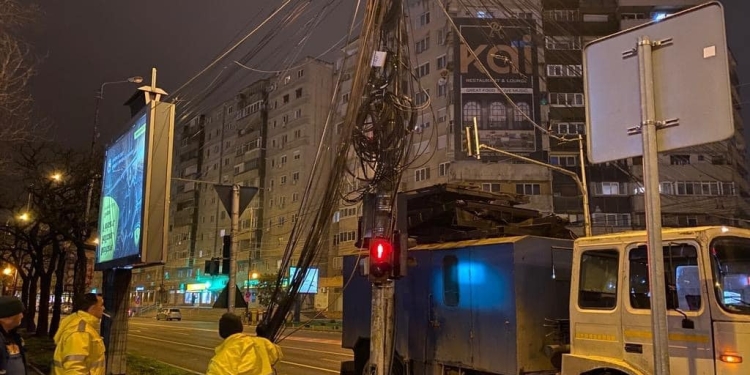 Au reapărut fire pe stâlpii din Timișoara curățați. S-au aplicat amenzi uriașe