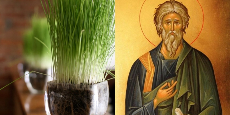 Românii pun grâu la încolțit pe 30 noiembrie! Tradiții și obiceiuri de Sf. Andrei