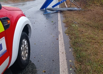 Copaci doborâți de rafalele de vânt în Timiș