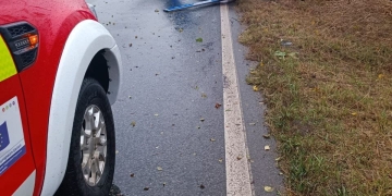 Copaci doborâți de rafalele de vânt în Timiș