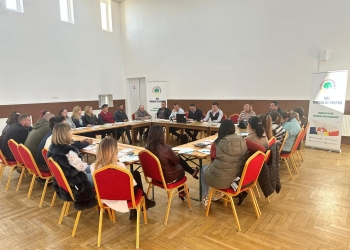 Maraton de informare despre fonduri europene, în centrul Timișului