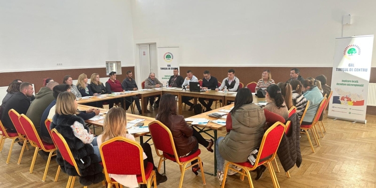 Maraton de informare despre fonduri europene, în centrul Timișului