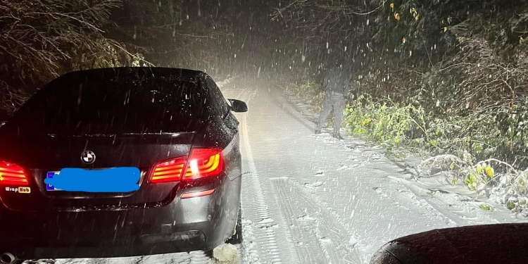 Drum blocat spre Muntele Mic, din cauza zăpezii! Au căzut copaci și firele de curent au fost rupte de zăpadă